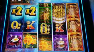 Golden Nugget Wild Bonus Retrigger 5 00 Bet Big Win