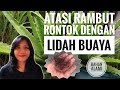 Mengatasi Rambut Rontok || Dengan Lidah Buaya