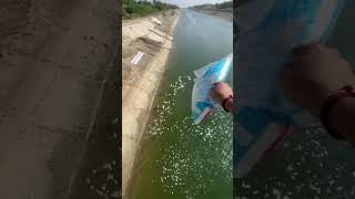 Feeding food fish 🐟   #fishing #fishinglife #food #fish #trendingnow @Jayuking-6090 ​⁠​⁠​⁠