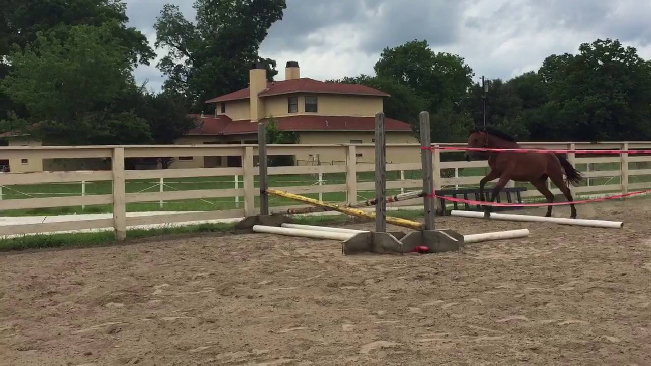 Im all in (Fifa) 2nd time in the chute