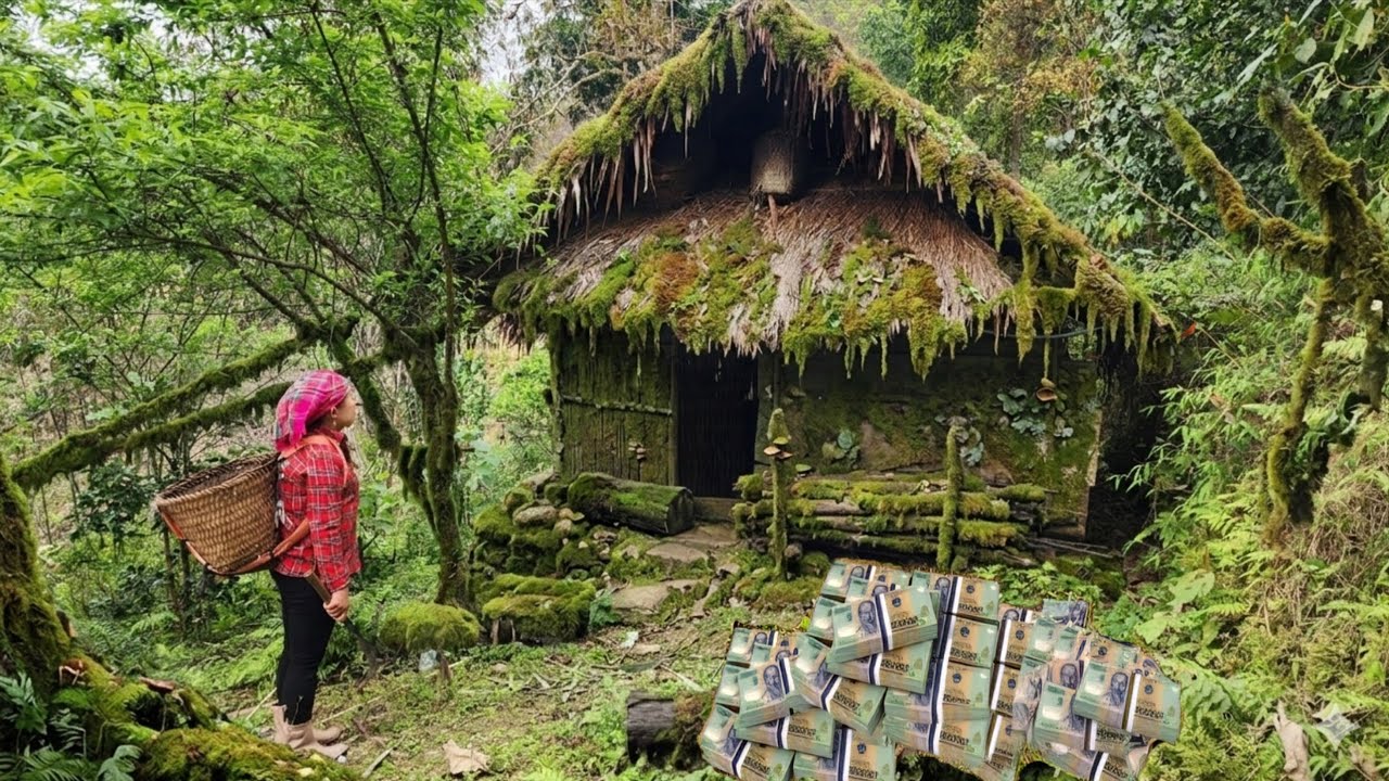 The girl discovered millions of dollars hidden inside the abandoned house. Lý Thị Phương