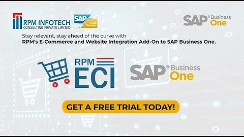 E-Commerce Business Solution | SAP Solutions | RPM infotech