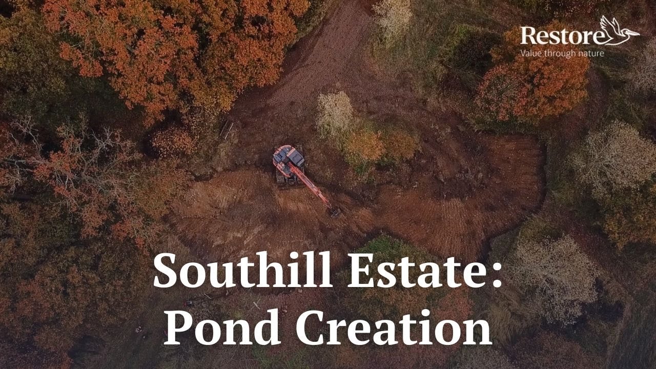 Southill Estate: Pond Creation
