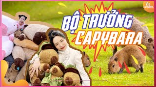 Viên Vibi Bóc Mẽ Tài Sản Bộ Trưởng Bộ Ngoại Giao Capybara Khiến Ai Cũng Choáng Ngợp