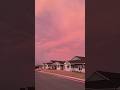 It Looks like a Painting