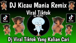 DJ KICAU MANIA REMIX TIKTOK VIRAL TERBARU 2026