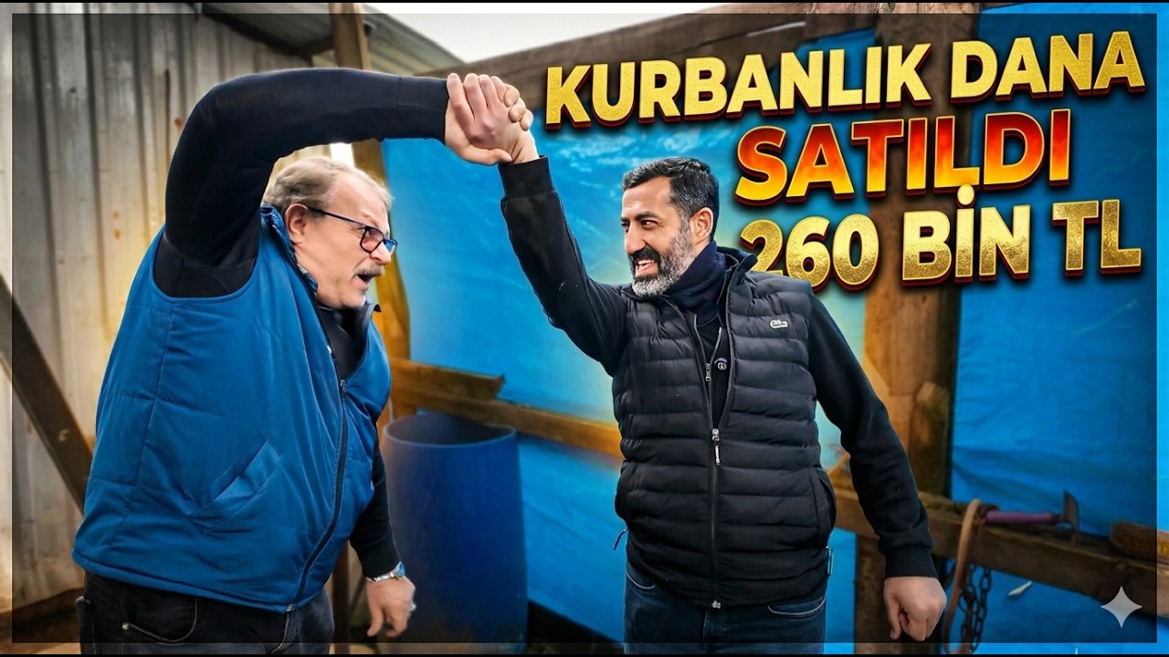 260 BİN'TL KURBANLIK DANAMIZ KENAN ABİ VE ORTAKLARINA HAYIRLI OLSUN.