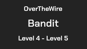 OverTheWire Bandit Level 4 - Level 5