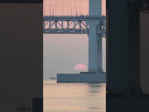 <strong>광안리에서</strong> 바라본 2023년 첫해 새해 복 많이 받으세요~