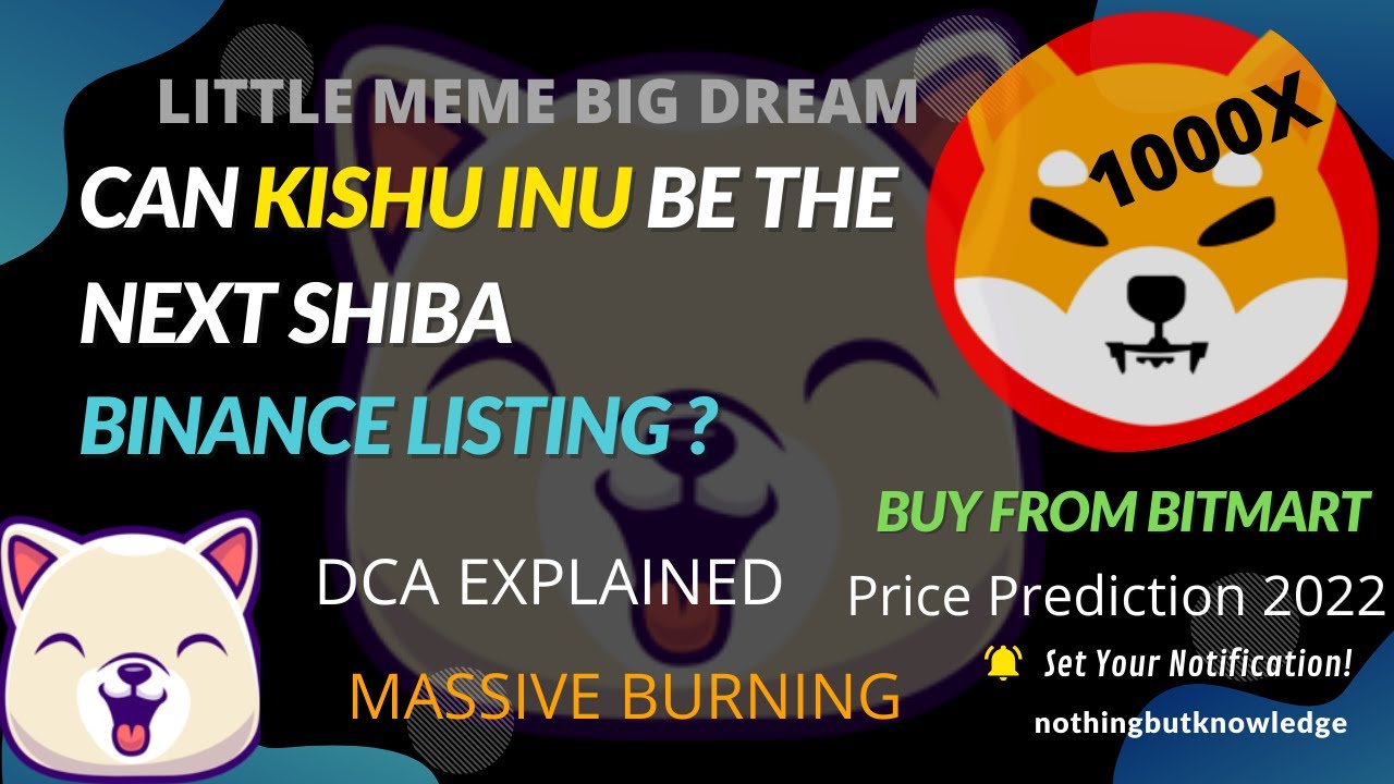 Kishu Inu Coin Update Today | Binance Listing.? Next Shiba Inu | Price  Prediction and Burning - YouTube