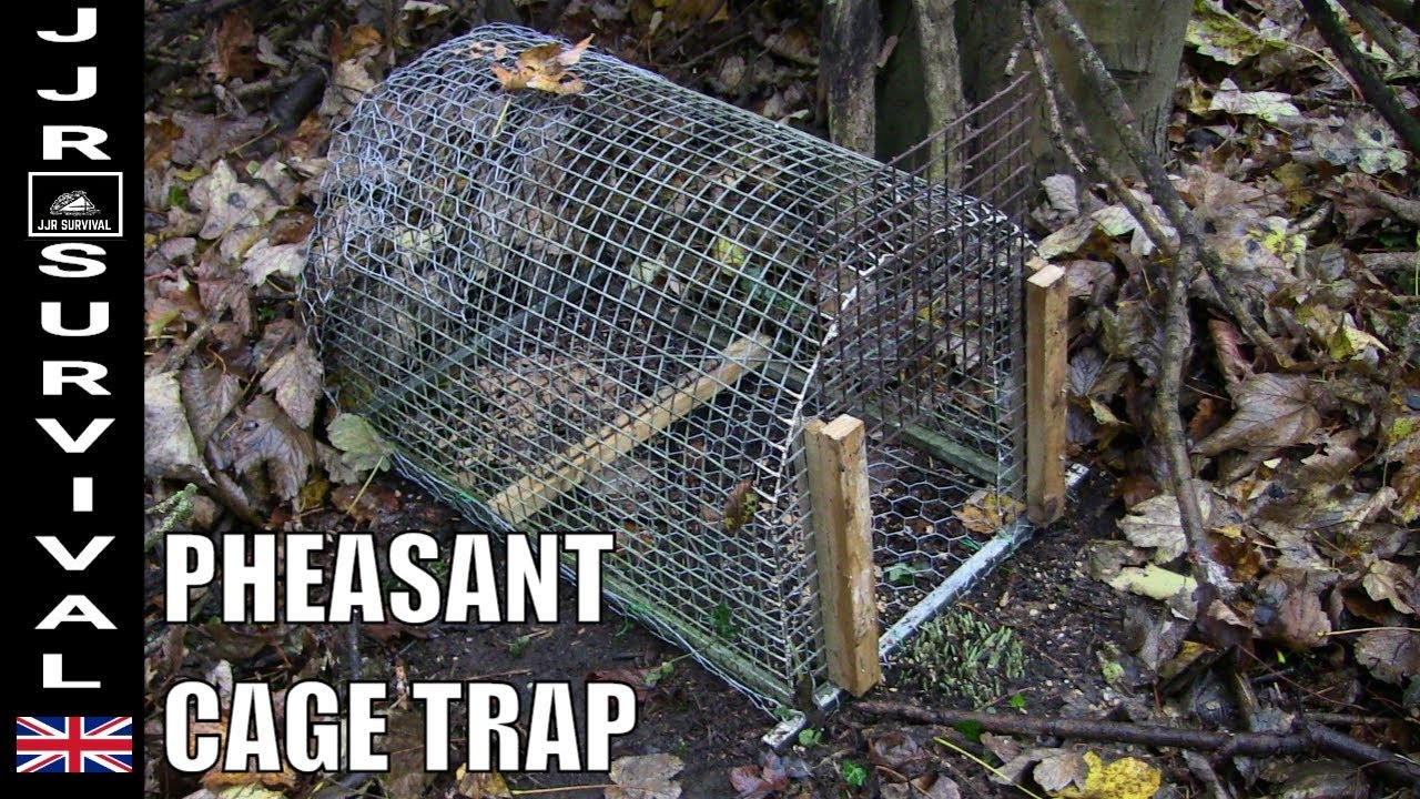 Pheasant Cage Trap - YouTube
