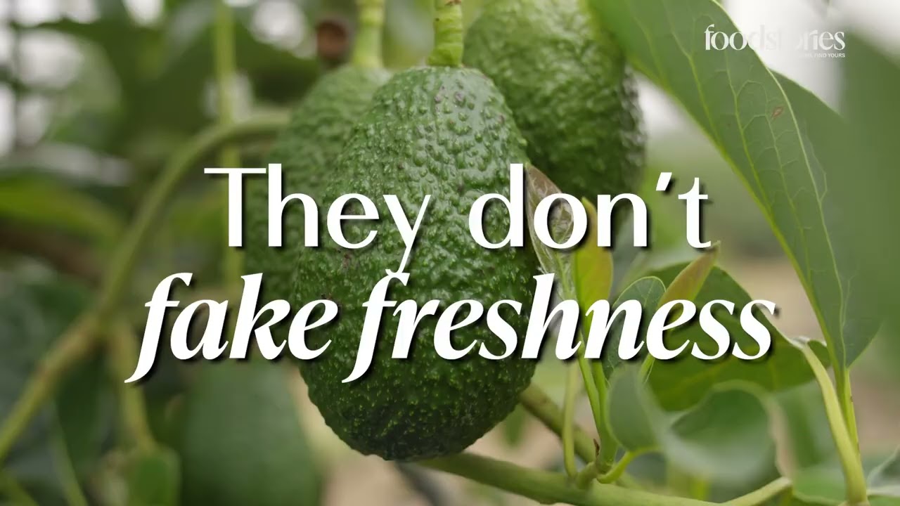 The Freshness They Don't Fake: Hass Avocados from New Zealand