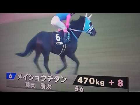 2020ファイナルステークス 本馬場入場 2020年12月27日(日)