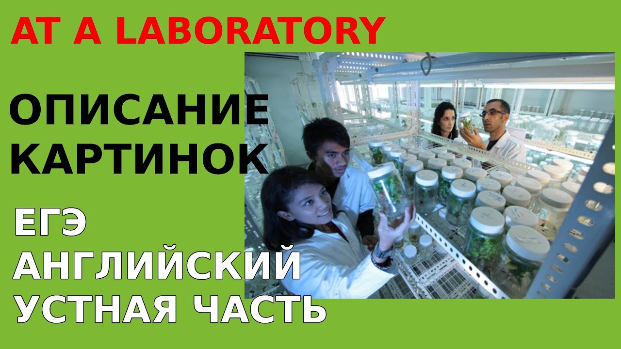 Подготовка к ЕГЭ по английскому языку. Устная часть. Описание картинок ...