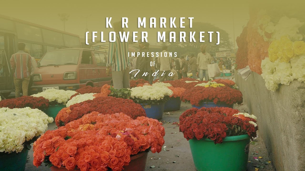 Impressions of India Ep 17 K R Market, Asia's Biggest Flower Market