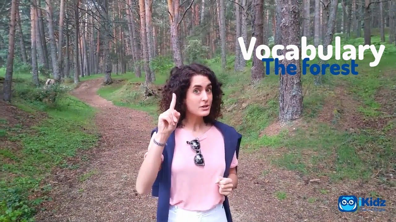 Vocabulary about the forest