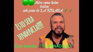 La Iguana Dancela Iguana Gerrero Guapango Zapateado