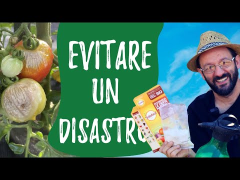 Video: Tassa sui trasporti - che cos'è? Disposizioni generali, detrazioni e caratteristiche