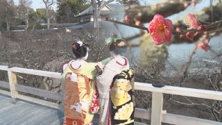 「雪月花の三名園」そろう 花の庭、北野天満宮で再建