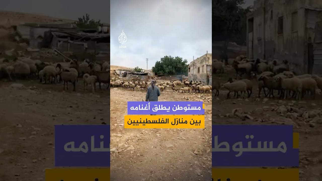 مستوطن يقتحم تجمع الكعابنة شرق القدس ويطلق أغنامه بين مساكن الفلسطينيين