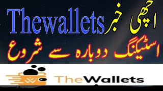 thewallet good news staking start again in prpal|| technical tips uae screenshot 2