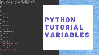 Python Tutorial Crash Course - Lesson 3 - Variables Wealth