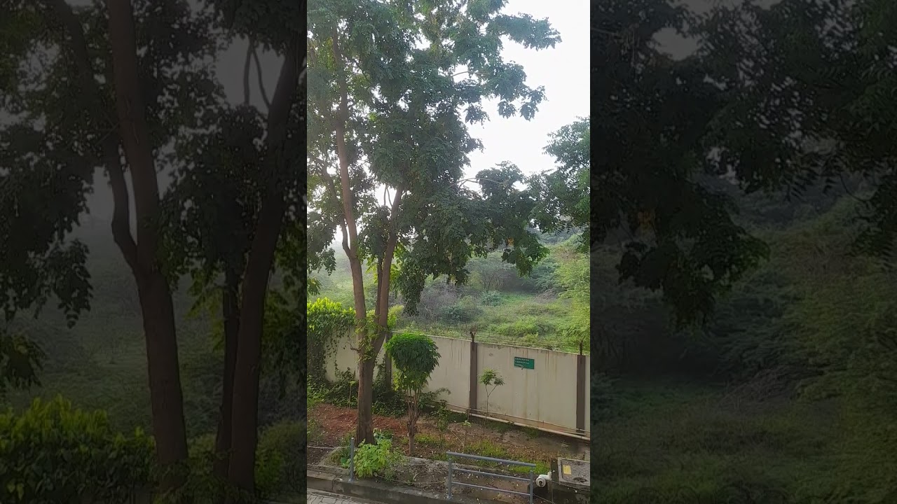 KEC international share 