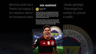 🚨 FENERBAHÇE'DE YENİ ROTA BREZİLYA: GOAL MAKİNESİ PEDRO LİSTEDE! 🇧🇷⚽ #Fenerbahçe #Shorts #Pedro