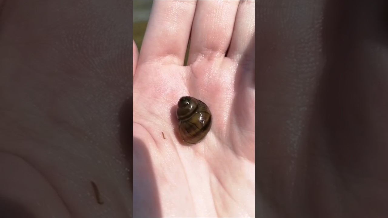 #nature #animals #creatures