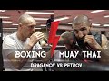Petrov vs draganov hard sparring highlights