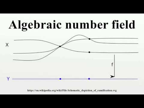Algebraic number field