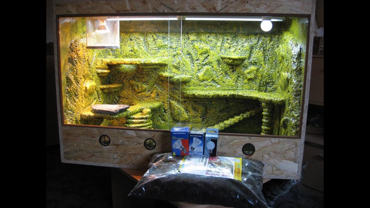Baudoku Kornnatter Terrarium YouTube