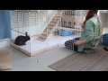 End of video