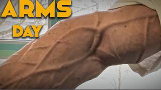 You Said No Excuses ,Prove It Arm Day