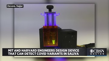 New Device From MIT, Harvard Can Quickly Detect COVID Variants In Saliva Samples