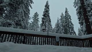 Snow time-lapse - February storm - Arnold, California