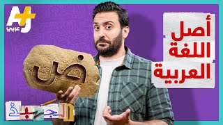 الجهبذ | متى ظهرت اللغة العربية وأين؟