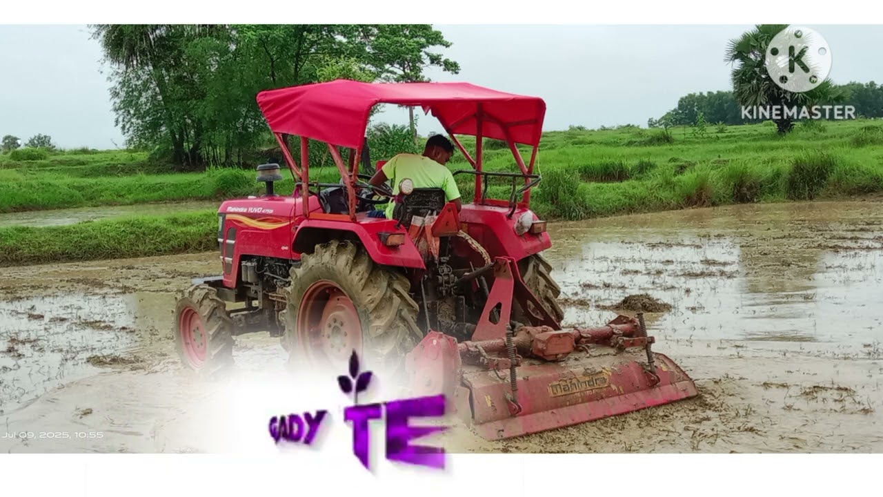 New santali status video 2025, (Gada nahel techo sanghat chas bas.....