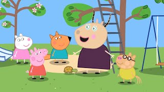новая серия СВИНКА ПЕППА ПИГ - Черепашка Тидолс - Игровая Группа, Peppa Pig мультик для детей
