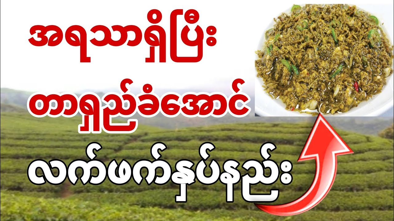 လက်ဖက်ကိုအရသာရှိပြီး မှိုမတက်အောင် ဘယ်လိုနှပ်မလဲ?