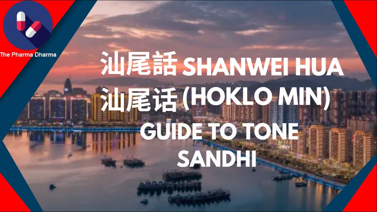 Shanwei Hua 汕尾話 汕尾话 (Hoklo Min) Sandhi Guide