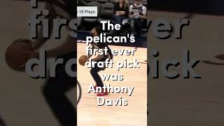 10 Lesser-Known Facts About the New Orleans Pelicans by Billie's Brainstorm 26 views 1 year ago 1 minute, 7 seconds