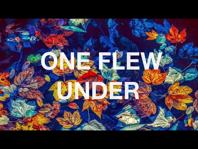SHIVER LYRICS VIDEO