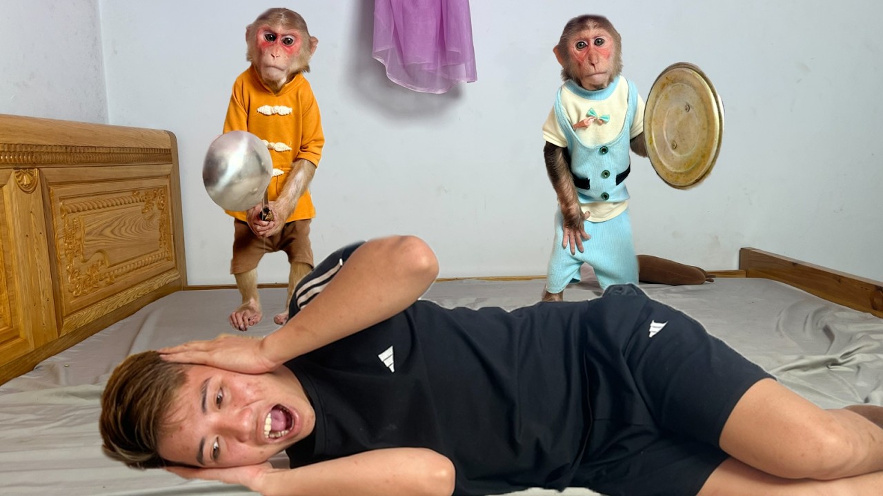 О боже! Лук и Кубис объединились, чтобы помешать папиному спать 😱