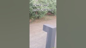 تلاوه خاشعة من القرآن الكريم بصوت جميل #المصحف  ماتيسر من سورة المرسلات #القارئ_محمد_الفقيه