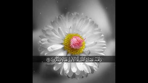 عبد الرحمن العوسي حالات واتس اب قران تلاوة جميلة لراحة قلبك❤//حالات واتس اب دينية مقاطع انستغرام