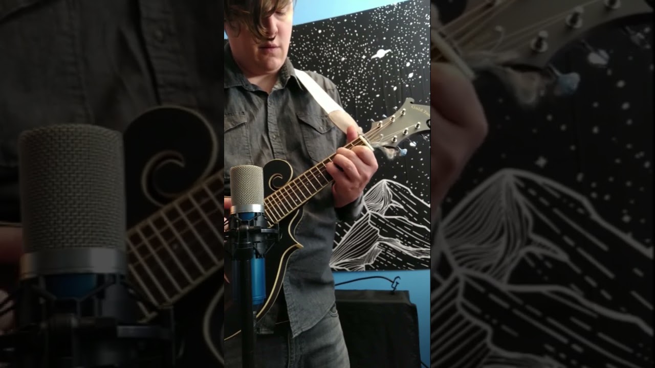 Gold Tone F-6 Acoustic-Electric Mando-Guitar 