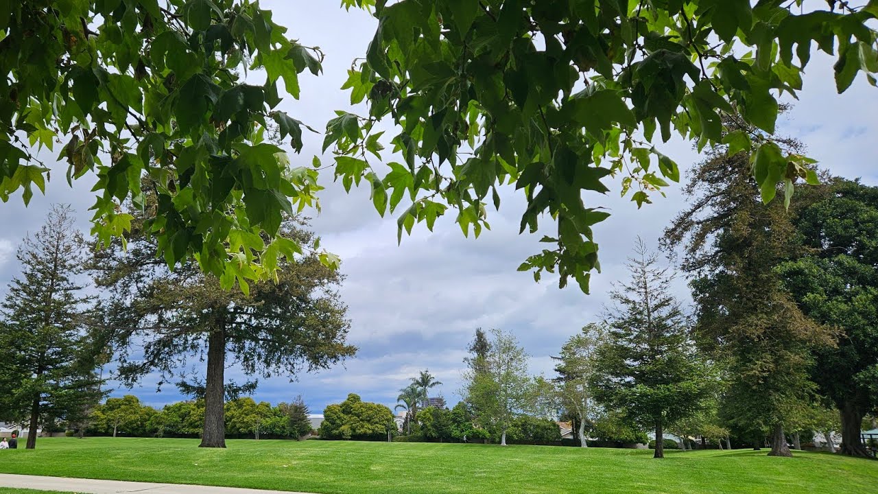 The Lord Is My Shepherd by Steven F Gooden-Cohen