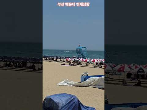 부산해운대 현재상황