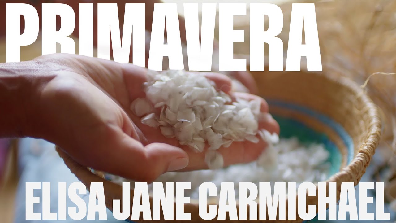 Воплощая дух страны: Элиза Джейн Кармайкл | Primavera 21